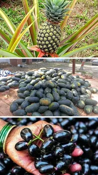 5 फल जो पीरियड्स की ऐंठन में मदद करते हैं