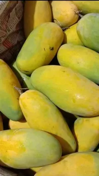 भारत के ये शहर आम के लिए खास रखते हैं पहचान