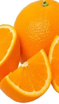 इन फलों में होता है सबसे ज़्यादा विटामिन B12
