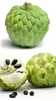 सेहत के लिए अमृत के समान है यह फल!