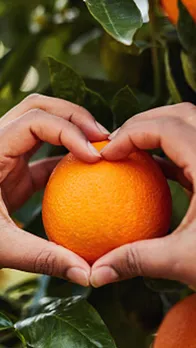 Benefits of Oranges: जानें सर्दियों में संतरे खाने के 5 फायदे