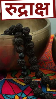 Rudraksha: एक से ग्यारह मुखी रुद्राक्ष पहनने के फायदे जानिए