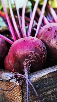 Health: चुकंदर करेगा सभी बीमारियों की छुट्टी, आज ही करें सेवन