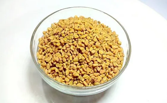 मेथी दाना है सबसे बड़ी जड़ी बूटी, आप भी जानें कैसे