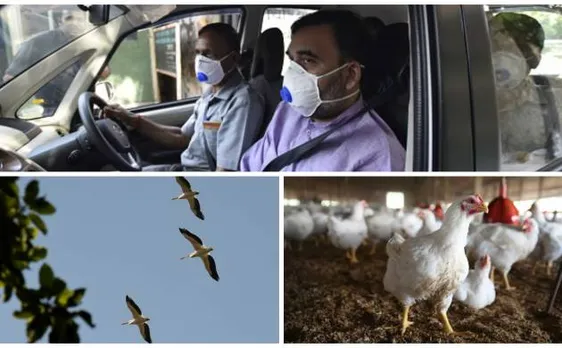 बर्ड फ़्लू: दिल्ली सरकार सतर्क, मंडी में जाकर पक्षियों की करेगी पड़ताल