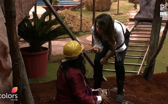 Bigg Boss 10, 23 November: रोहन ने सोना बचाया, ओम स्वामी और नितिभा कौल भिड़े