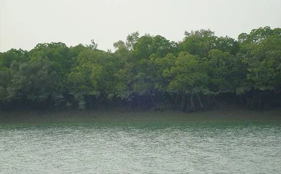 एनजीटी ने सुंदरबन में प्रदूषण पर प्रतिबंध लगाने का दिया निर्देश