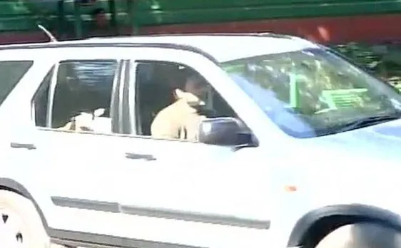 राहुल गांधी की पार्टी नेताओं के साथ बैठक, विधानसभा चुनाव की रणनीति पर हुई चर्चा, सोनिया और प्रियंका भी हुईं शामिल