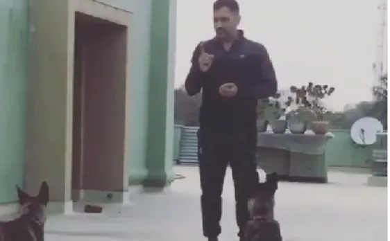 घर में दिख रहा है धोनी का क्रिकेट प्रेम, खाली समय में अपने कुत्तों को करा रहे हैं कैचिंग की प्रैक्टिस, देखें वीडियो