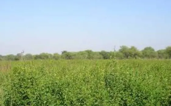 भारत-पोलैंड कृषि समझौते को मंजूरी