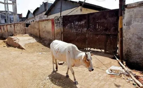 यूपी नहीं मध्य प्रदेश, महाराष्ट्र, तमिलनाडु में सबसे अधिक बूचड़खाने