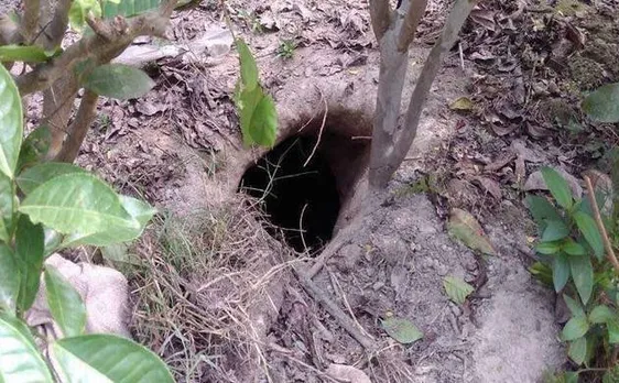 BSF जवानों ने भारत-बांग्लादेश सीमा पर खोजी सुरंग, तस्करों पर शक