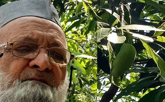 मैंगोमैन कलीमुल्लाह ने योगी आदित्यनाथ के नाम पर रखा आम का नाम, जल्द ही बाजार में होगा उपलब्ध