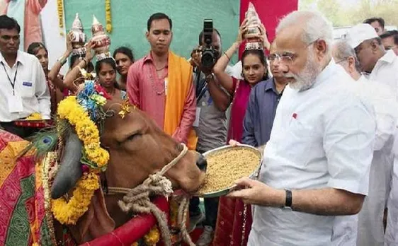 'गाय को राष्ट्रीय पशु घोषित करें सरकार', राजस्थान हाई कोर्ट का आदेश