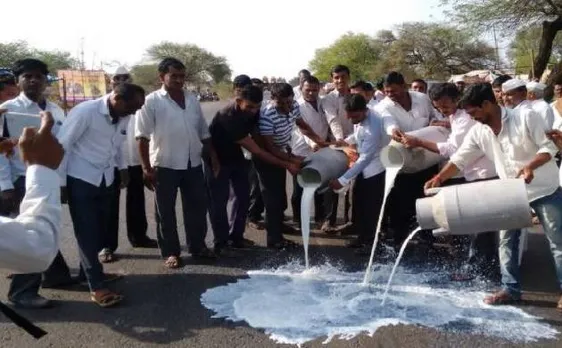 महाराष्ट्र: किसानों की अनिश्चितकालीन हड़ताल, सड़कों पर बहाए दूध (VIDEO)