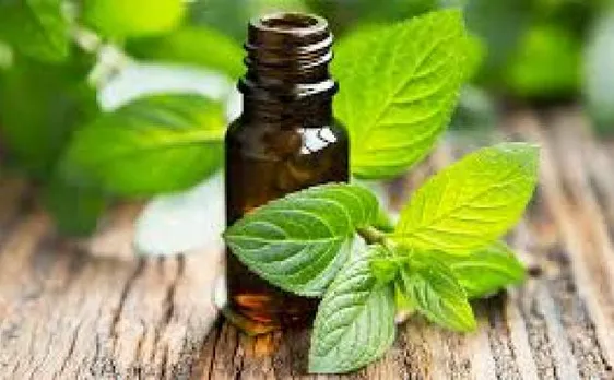 एशेंसियल ऑयल से बनाए रूखी त्वचा को मुलायम और चमकदार