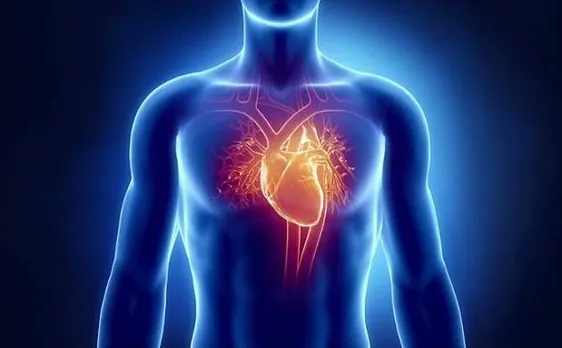 3-डी प्रिंटेड मॉडल से मिला इंसान के दिल की धड़कन का सूत्र