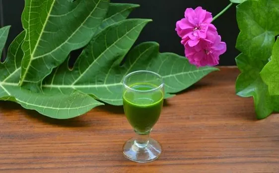 डेंगू , चिकनगुनिया में वरदान से कम नहीं पपीते के पत्ते, जानें इसके फायदे