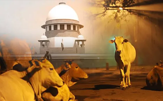 गौरक्षा के नाम पर हिंसा करने वालों पर सुप्रीम कोर्ट सख्त, राज्यों को नोडल ऑफिसर नियुक्त करने का आदेश