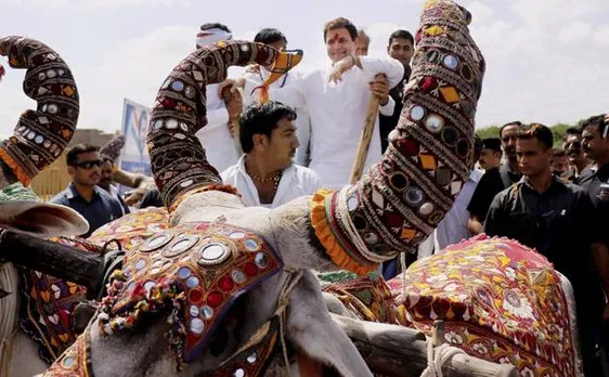 राहुल गांधी ने बैलगाड़ी से किया गुजरात चुनाव प्रचार का आगाज