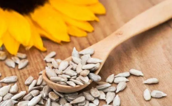 सेहत के लिए फायदेमंद होते हैं सूरजमुखी के बीज, खाने में ऐसे करें इस्तेमाल