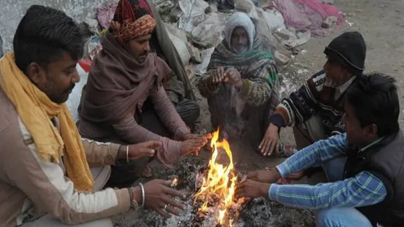 उत्तर भारत में ठंड का कहर, इंसानों के साथ जानवर भी परेशान