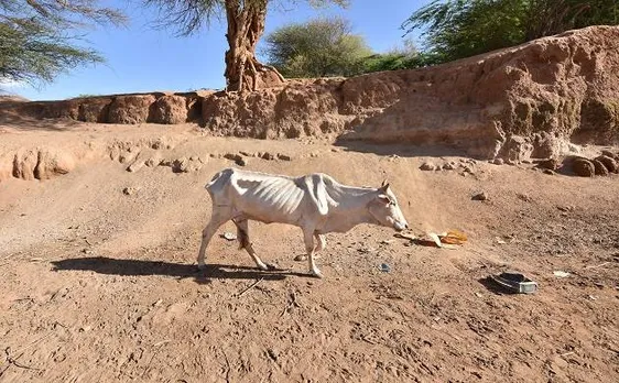 अफगानिस्तान में अकाल से 500000 बच्चे प्रभावित : यूनिसेफ