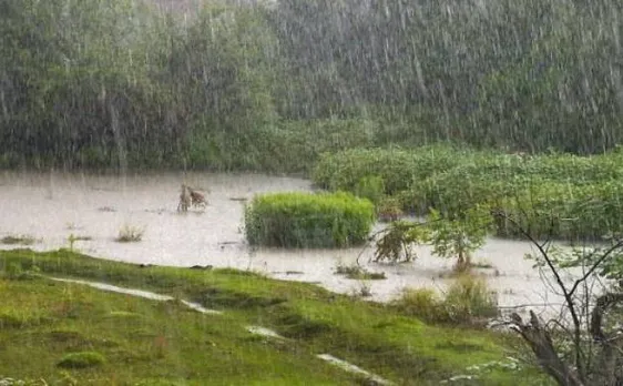 पिछले साल से बेहतर रहेगा इस साल मॉनसून : आईएमडी