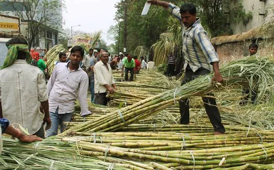 गन्ना किसानों को राहत, मोदी सरकार ने 8 हजार करोड़ रु के पैकेज का किया ऐलान