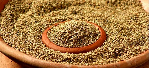 पेट दर्द से लेकर सिर दर्द तक, खांसी को भी ऐसे दूर करता है अजवाइन