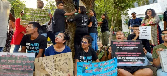 एनजीटी ने NDMC और DDA को जारी किया नोटिस, पेड़ों की कटाई पर 19 जुलाई तक लगाई रोक