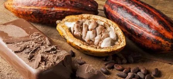 World Chocolate Day 2018: चॉकलेट खाई तो बहुत होगी, अब जानिए बनाने का तरीका