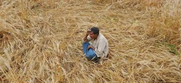महाराष्ट्र: सिर्फ 3 महीनों में 639 किसानों ने की आत्महत्या, प्रतिदिन मरते हैं 7