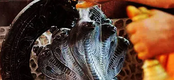 Nag Panchami 2018: नाग पंचमी पर सांपों के दूध पिलाने के पीछे ये है विचित्र कारण, जानिए क्या कहते हैं वैज्ञानिक