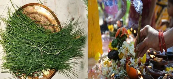 9 सितंबर को है कुश ग्रहणी अमावस्या, ऐसे करें पूजा पितरों की आत्मा को मिलेगी शांति