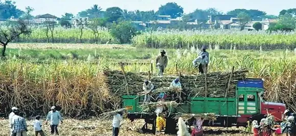 मंत्रिमंडल ने इथेनॉल की कीमत में 5 रुपये की वृद्धि को मंजूरी दी