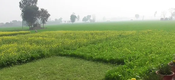 हरियाणाः कोचिंग के लिए निकली CBSE टॉपर रही छात्रा से कथित तौर पर गैंगरेप