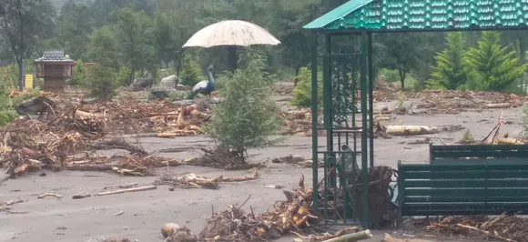हिमाचल में बारिश ने मचाया कोहराम, 8 की मौत, IIT रुड़की के 35 छात्र सहित 45 लोग लापता