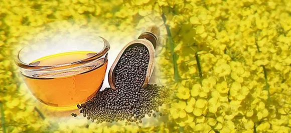 दिल की बीमारी से बचाता है ये तेल, रोज खाने में कर सकते हैं इस्‍तेमाल