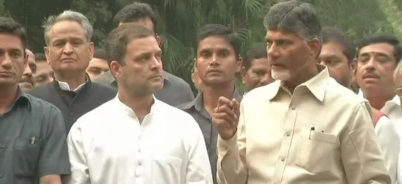 मुलाकात के बाद राहुल गांधी और नायडू बोले, बीजेपी को हराने के लिए आए साथ