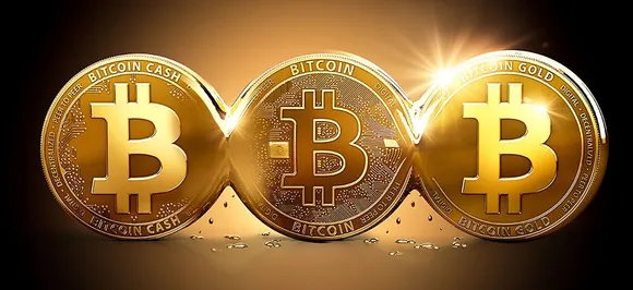 Bitcoin की ये हैं बड़ी गिरावटें, जानकर दंग रह जाएंगे