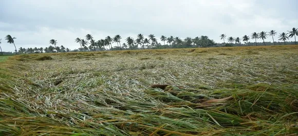 चक्रवाती तूफान 'फेथाई' का कहर, ईस्ट गोदावरी में 5,000 से ज्यादा किसान प्रभावित