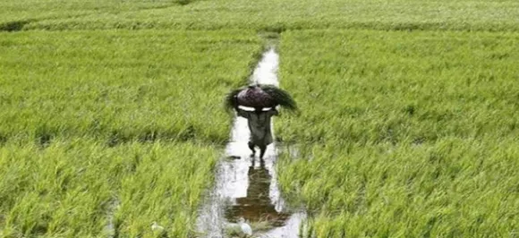 नए साल पर किसानों को पीएम मोदी की सौगात, समय पर भरा पैसा तो नहीं देना होगा ब्याज