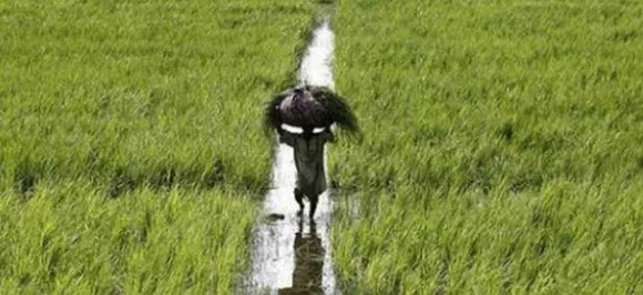राजस्थान में किसानों की कर्जमाफी के नाम पर करोड़ों के घोटाले का खुलासा, पूरी लिस्ट देख पैरों तले खिसक जाएगी जमीन