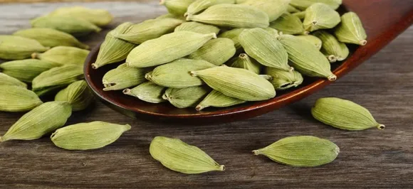 3 हरी इलायची से दूर हो जाएगी आपकी आर्थिक तंगी, जान लें ये उपाय