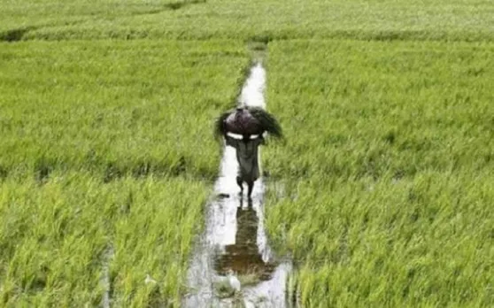 किसान आय सहयोग 12000 रुपये सालाना होना चाहिए: देविंदर शर्मा