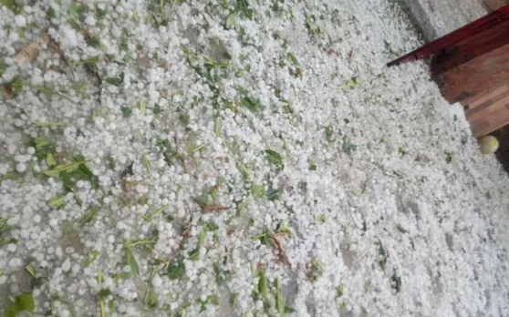 दिल्ली-एनसीआर में भारी बारिश, नोएडा में ओले गिरने से किसानों की फसल हुई बर्बाद