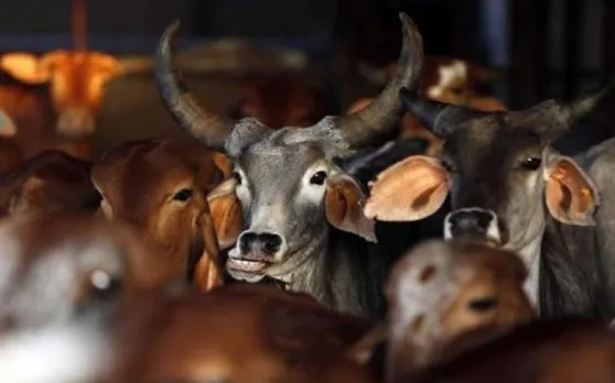 गोवंश के संरक्षण के लिए ‘राष्ट्रीय कामधेनु आयोग’ के गठन की मंजूरी