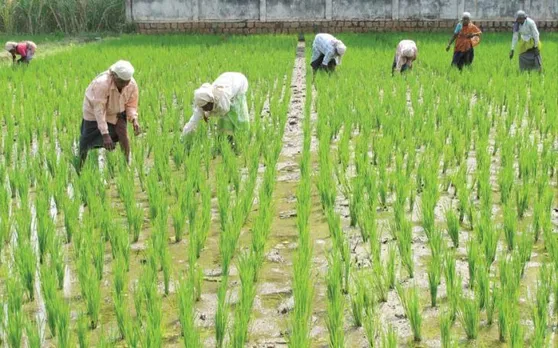 आने वाले कुछ दशकों में खत्म हो जाएगा मानव जीवन! बीते 40 सालों की रिपोर्ट पर आया डरा देने वाला नतीजा