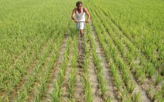 लोकसभा चुनाव से पहले नरेंद्र मोदी सरकार किसानों को हजारों रुपये देने की तैयारी में, जानें क्यों